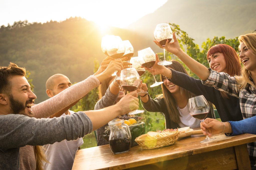 Grupo de amigos brindando con copas de vino en un viñedo al atardecer.