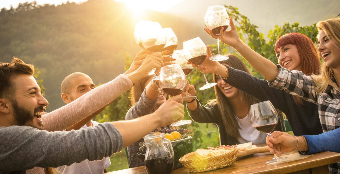Grupo de amigos brindando con copas de vino en un viñedo al atardecer.