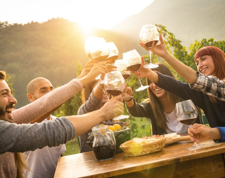 Grupo de amigos brindando con copas de vino en un viñedo al atardecer.