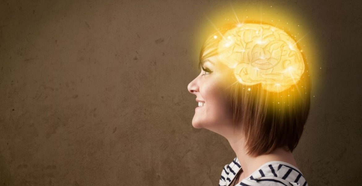 el cerebro gran simulador