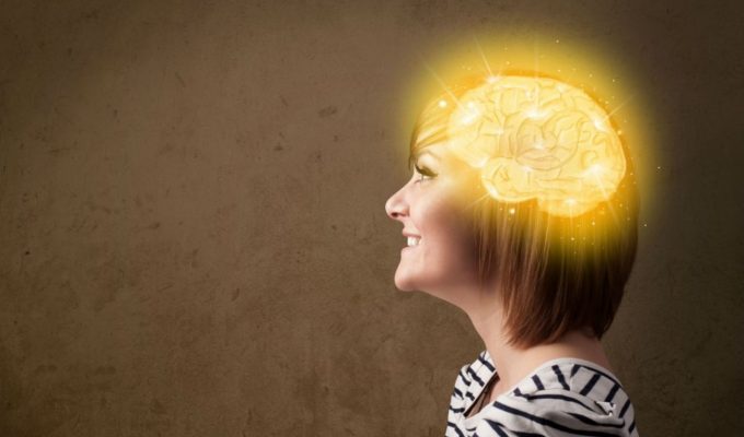 el cerebro gran simulador