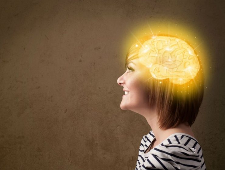 el cerebro gran simulador