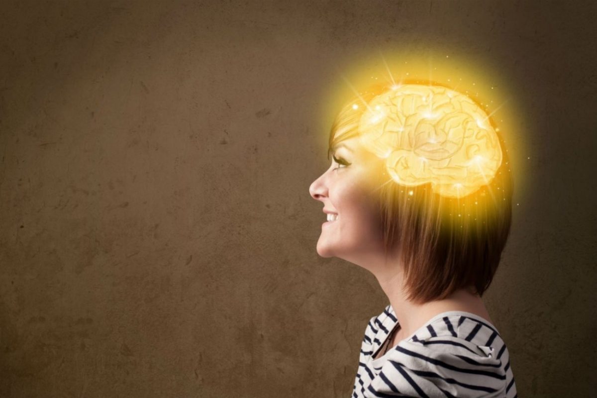 el cerebro gran simulador