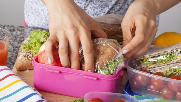 viandas para el trabajo