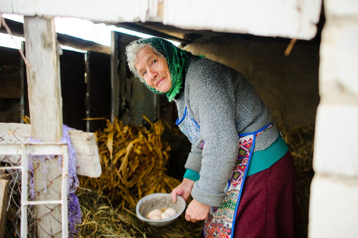 Food Sharing, una plataforma digital para salvar y compartir la comida que sobra 7