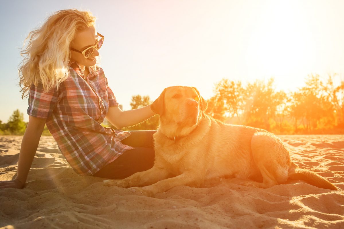 Los perros nunca mueren: duermen para siempre en tu corazón 8 Los perros nunca mueren: duermen para siempre en tu corazón 2