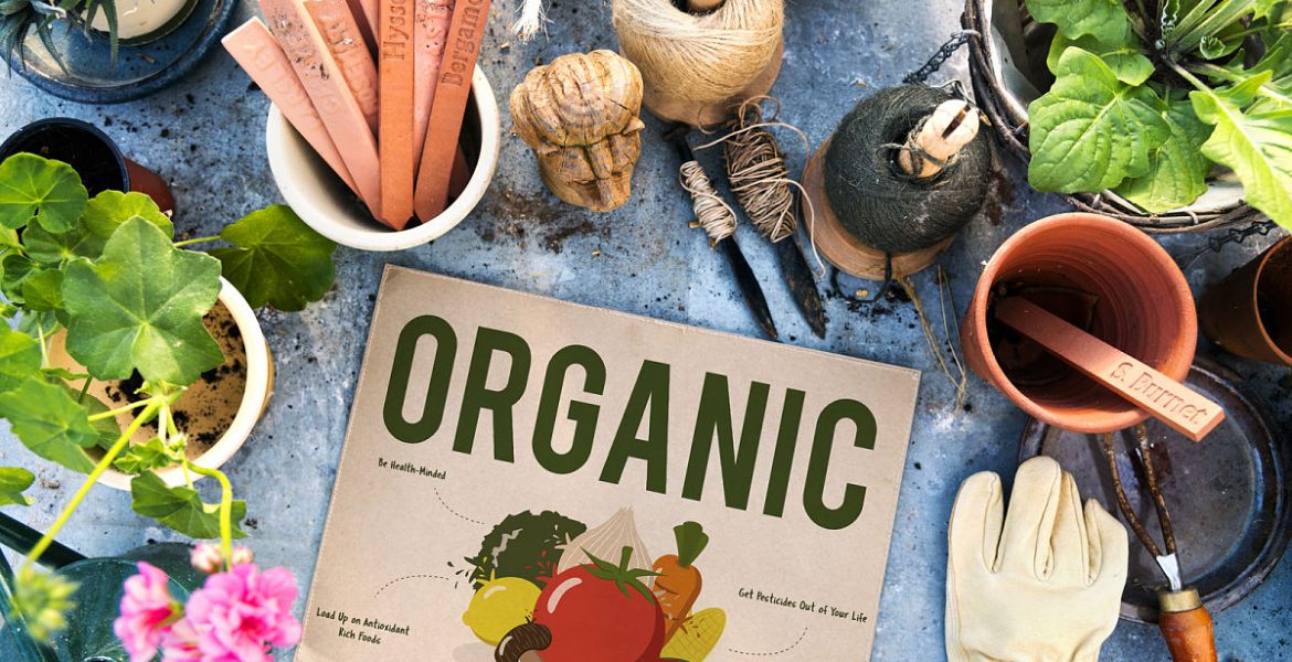 5 plantas comestibles