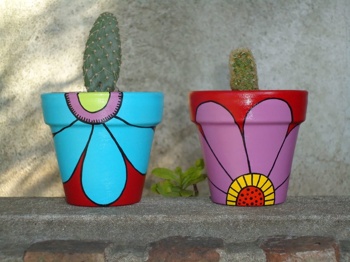 Tipos de cactus pequeños con flores y sin espinas 22 macetas para cactus