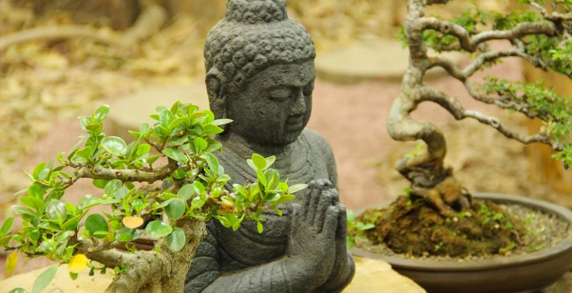 Figura de Buda en posición de oración, rodeada de plantas bonsái en un entorno natural y sereno.