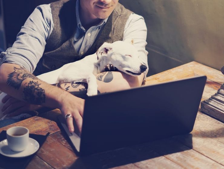 Cuidados de un tatuaje: consejos para evitar problemas 4 cuidado de un tatuaje