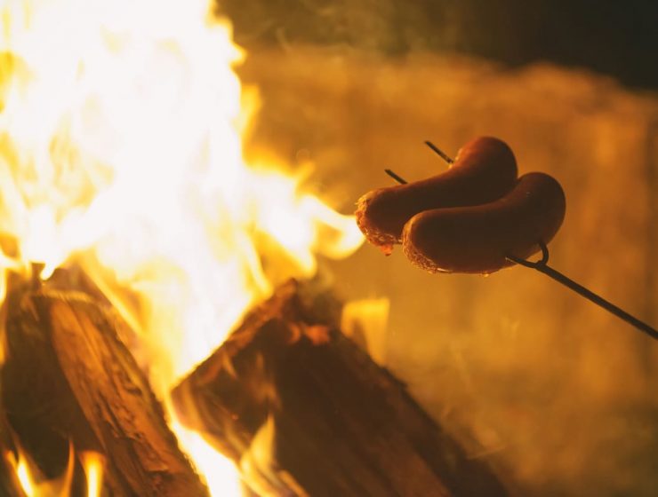 Cómo hacer fuego para asado rápido: paso a paso 4 cómo hacer fuego para asado