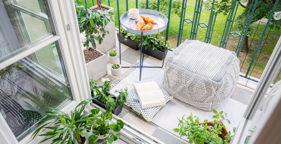 decoración de interiores con plantas