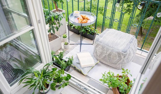 decoración de interiores con plantas