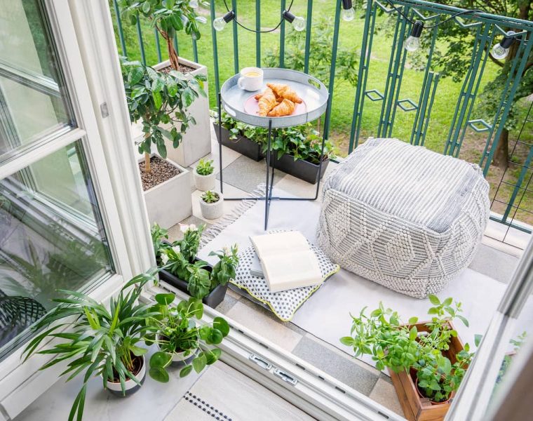 decoración de interiores con plantas
