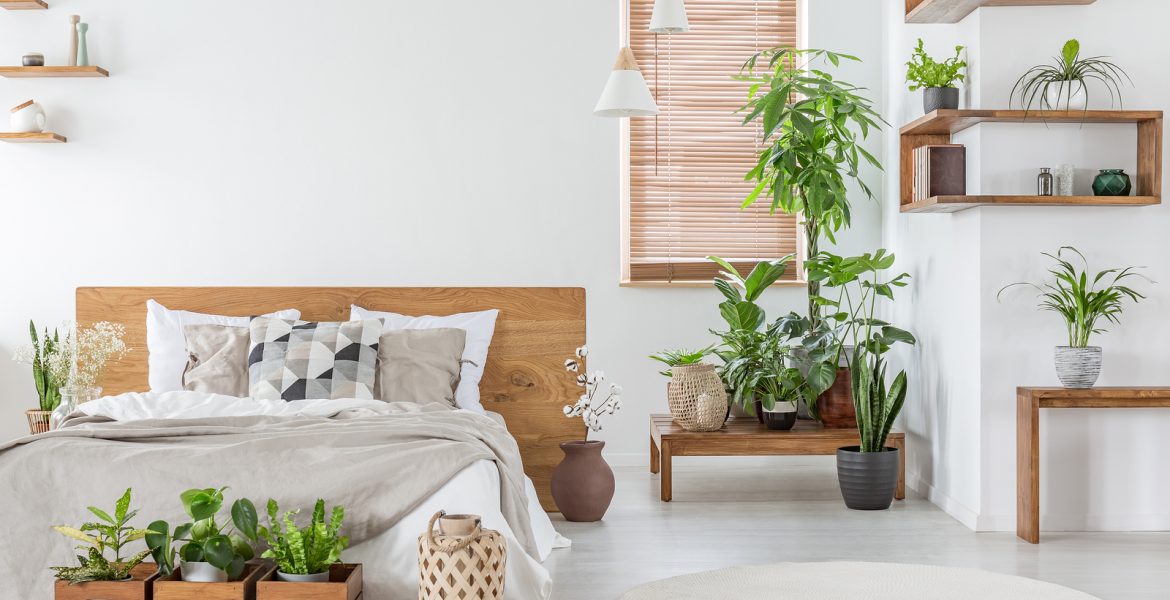 decoracion de interiores con plantas