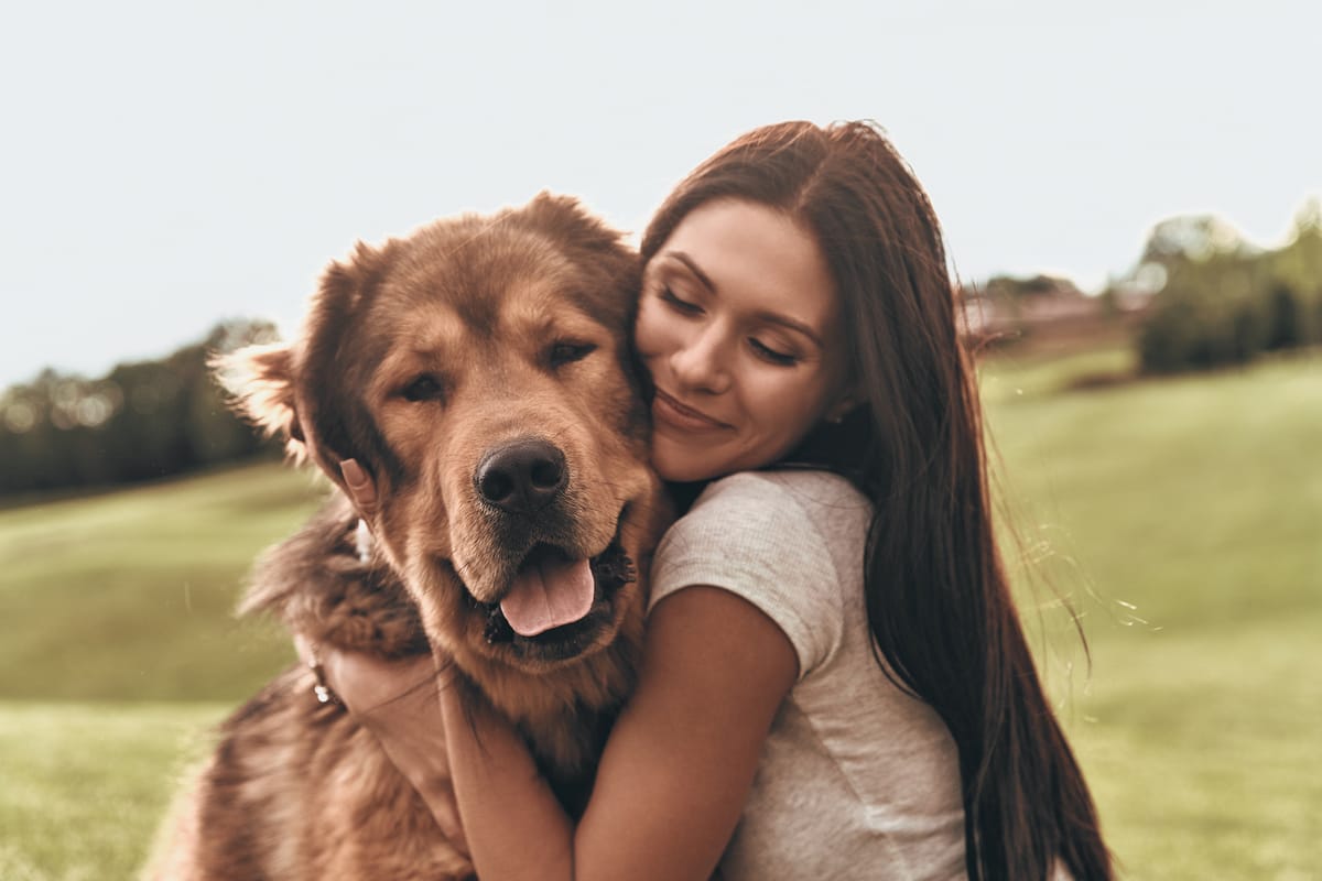 que edad tiene tu perro