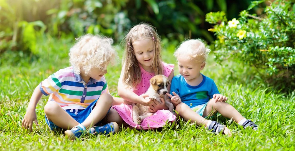 cesped chicos jugando