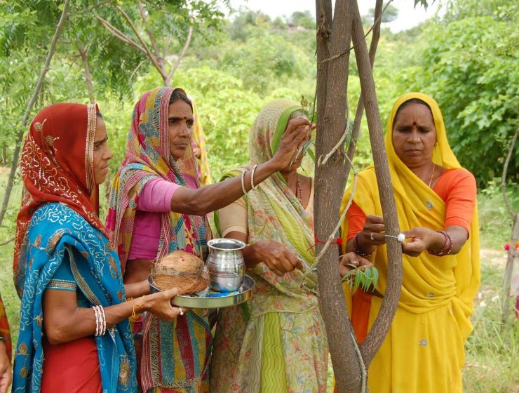 En India plantan 111 árboles cada vez que nace una niña 30 En India plantan 111 árboles cada vez que nace una niña 23