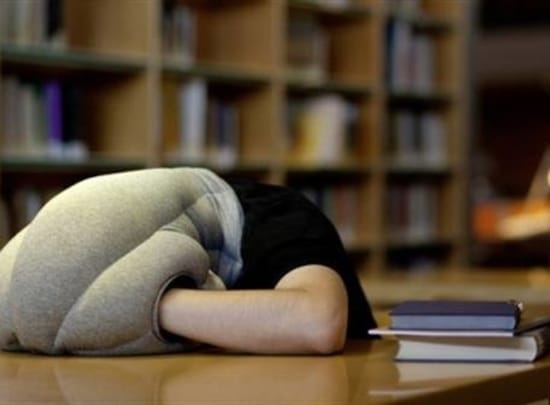 invento almohada avestruz